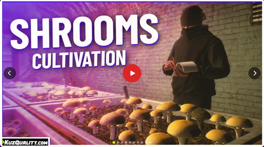 KQ Shrooms Cultivation
